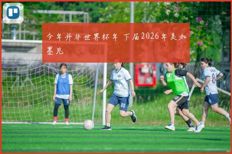 今年并非世界杯年 下届2026年美加墨见