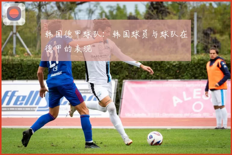 韩国德甲球队：韩国球员与球队在德甲的表现