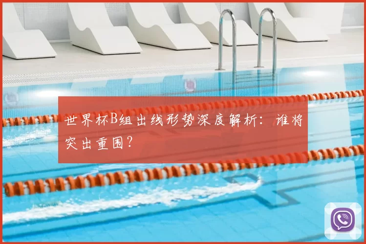 世界杯B组出线形势深度解析:谁将突出重围?