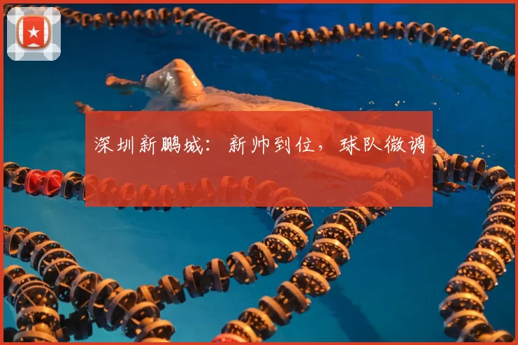 深圳新鹏城:新帅到位,球队微调