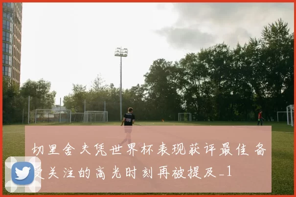 切里舍夫凭世界杯表现获评最佳 备受关注的高光时刻再被提及_1