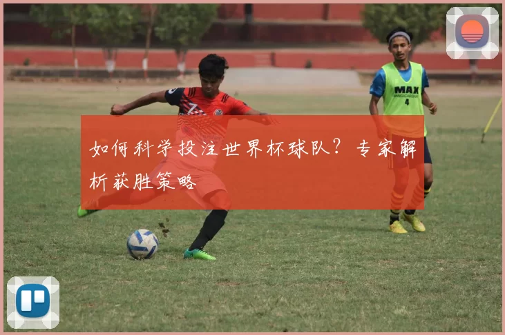 如何科学投注世界杯球队？专家解析获胜策略