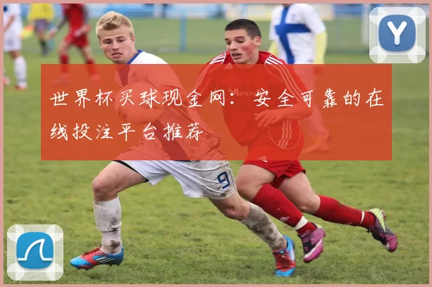 世界杯买球现金网:安全可靠的在线投注平台推荐