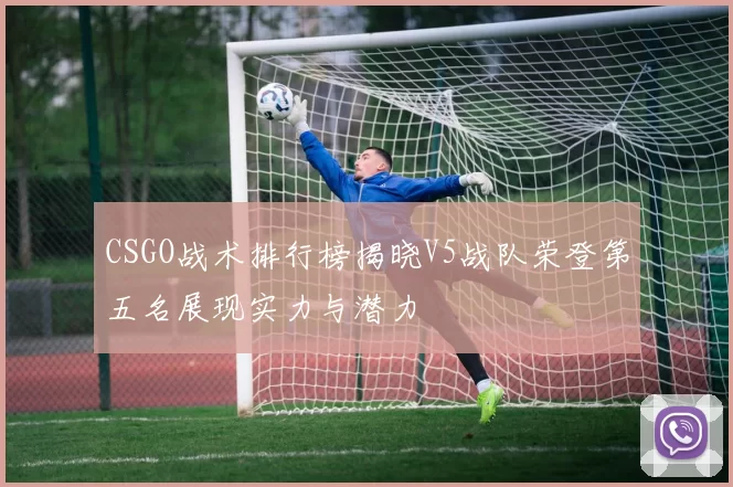 CSGO战术排行榜揭晓V5战队荣登第五名展现实力与潜力