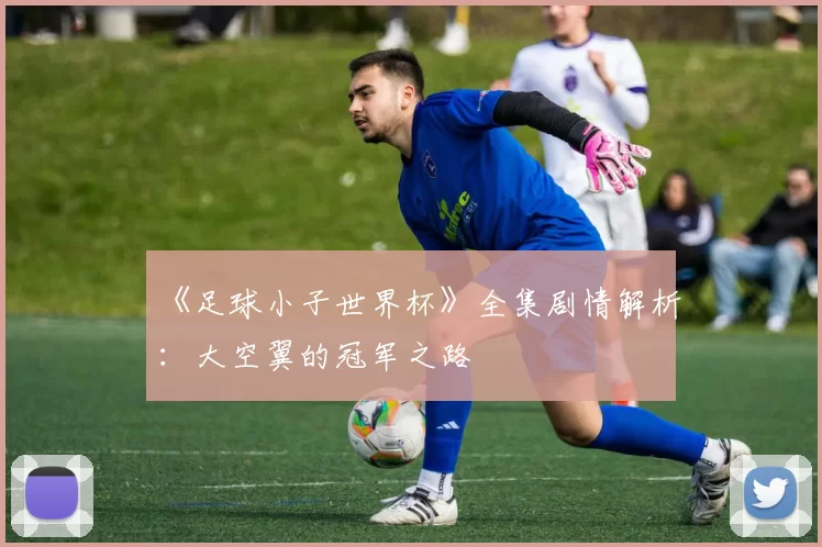 《足球小子世界杯》全集剧情解析:大空翼的冠军之路