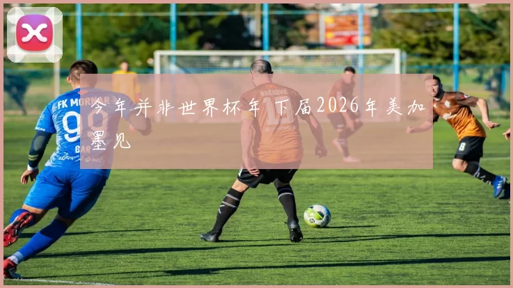 今年并非世界杯年 下届2026年美加墨见