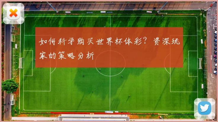 如何科学购买世界杯体彩?资深玩家的策略分析
