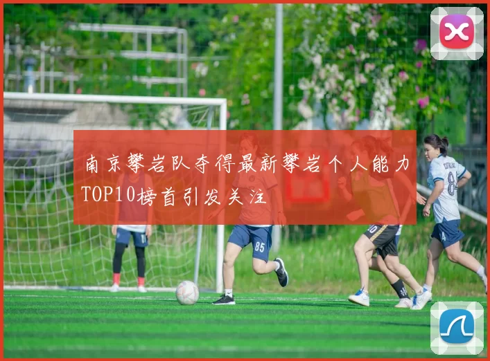 南京攀岩队夺得最新攀岩个人能力TOP10榜首引发关注