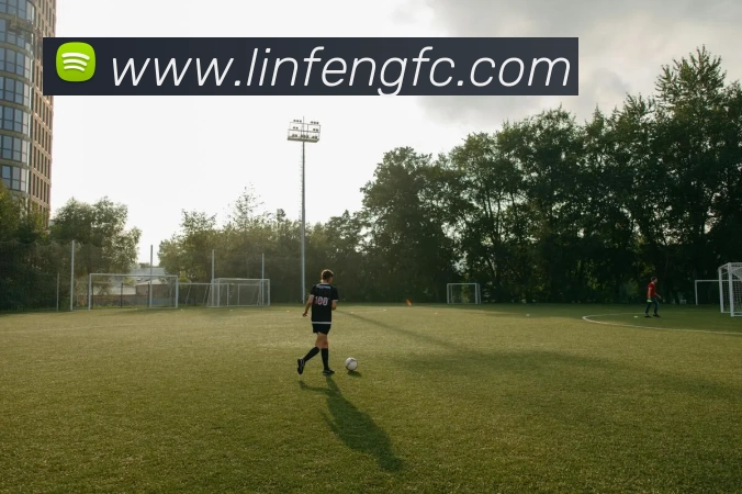 华体会APP 高清赛事图